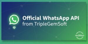 WhatsApp Api