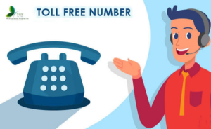 Toll Free Number Provider: Complete Guide for Businesses